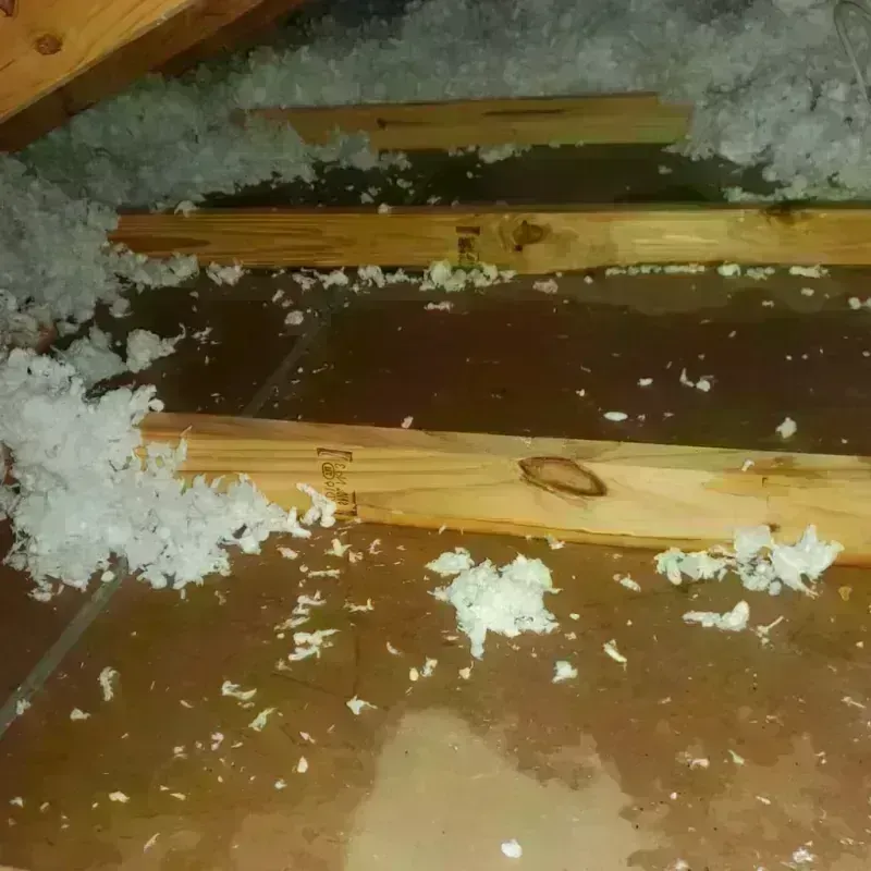 Attic Water Damage in Mulberry, OH