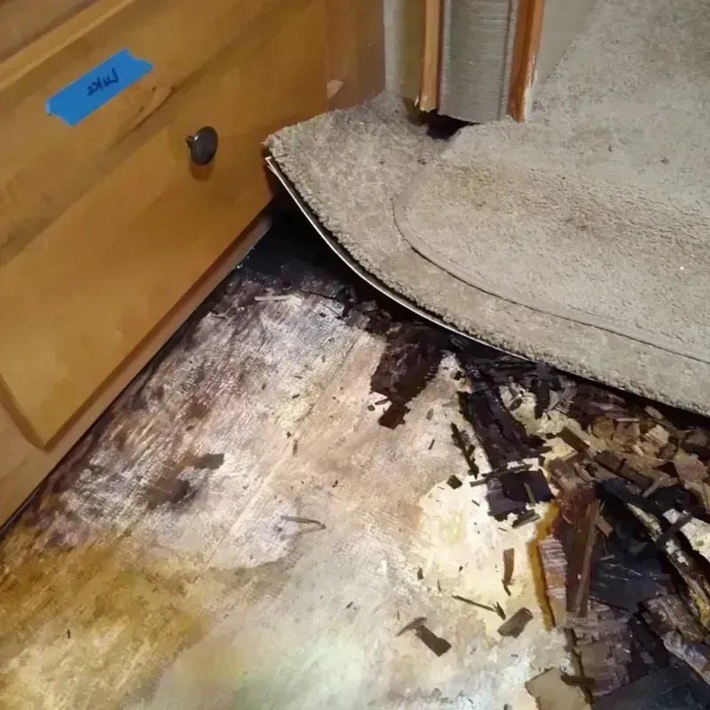 Wood Floor Water Damage in Mulberry, OH